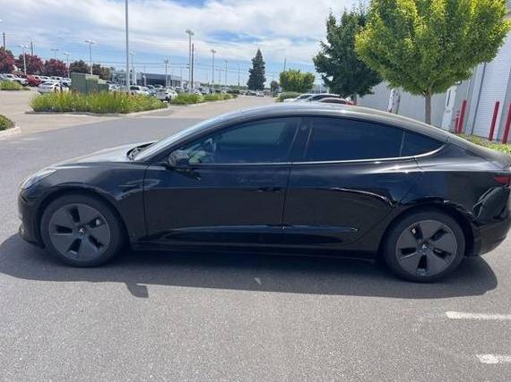 TESLA MODEL 3 2023 5YJ3E1EA2PF649588 image